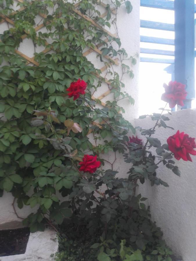 Rania Studios Poros Town Bagian luar foto